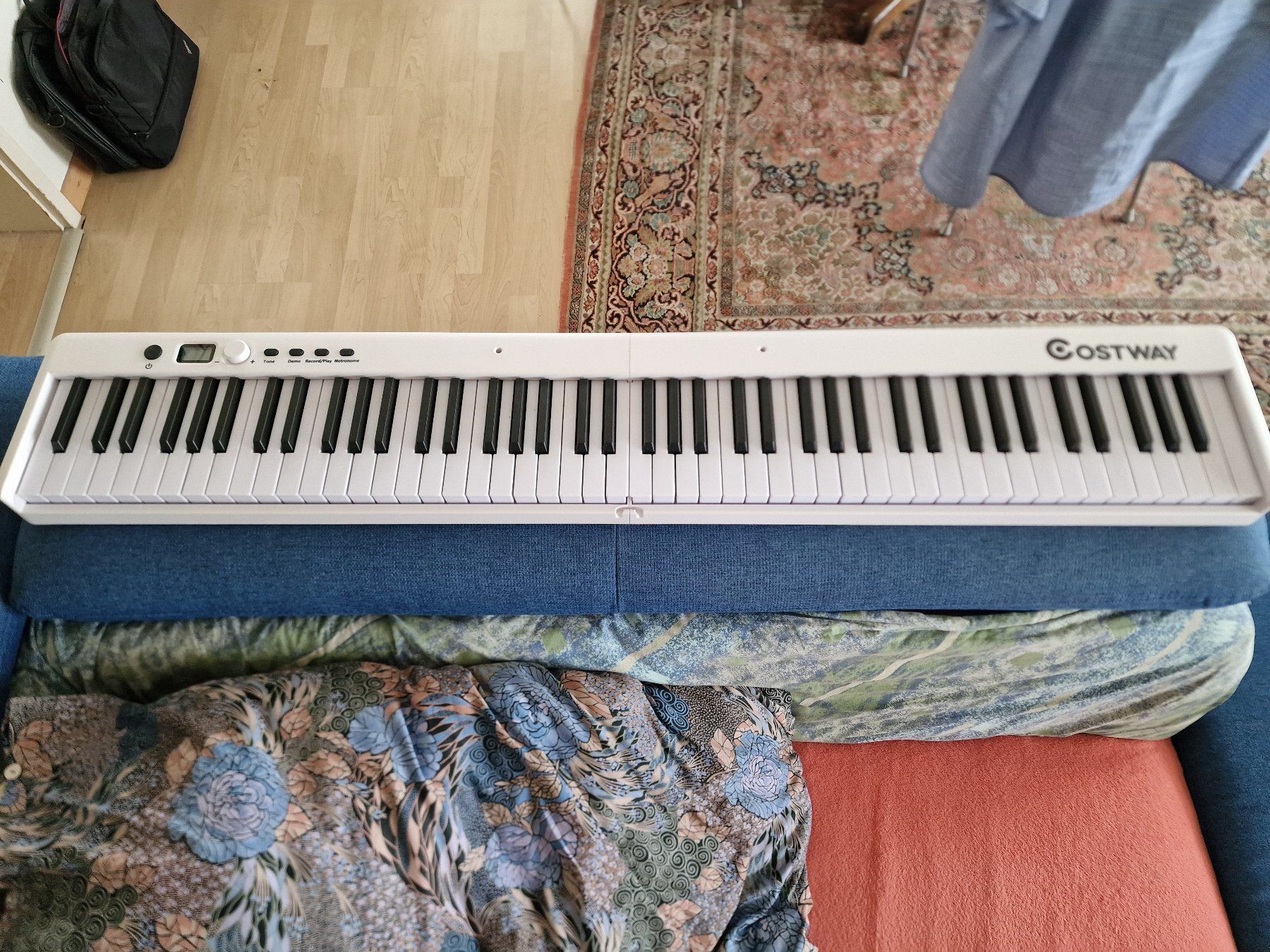 Strumenti musicali: Digital Piano klappbar – Usato da steinhausen venduto da eiche09